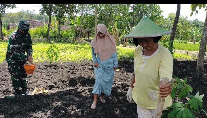 Tanam Kacang, Satgas TMMD Bojonegoro Support Kemajuan Pertanian Petani