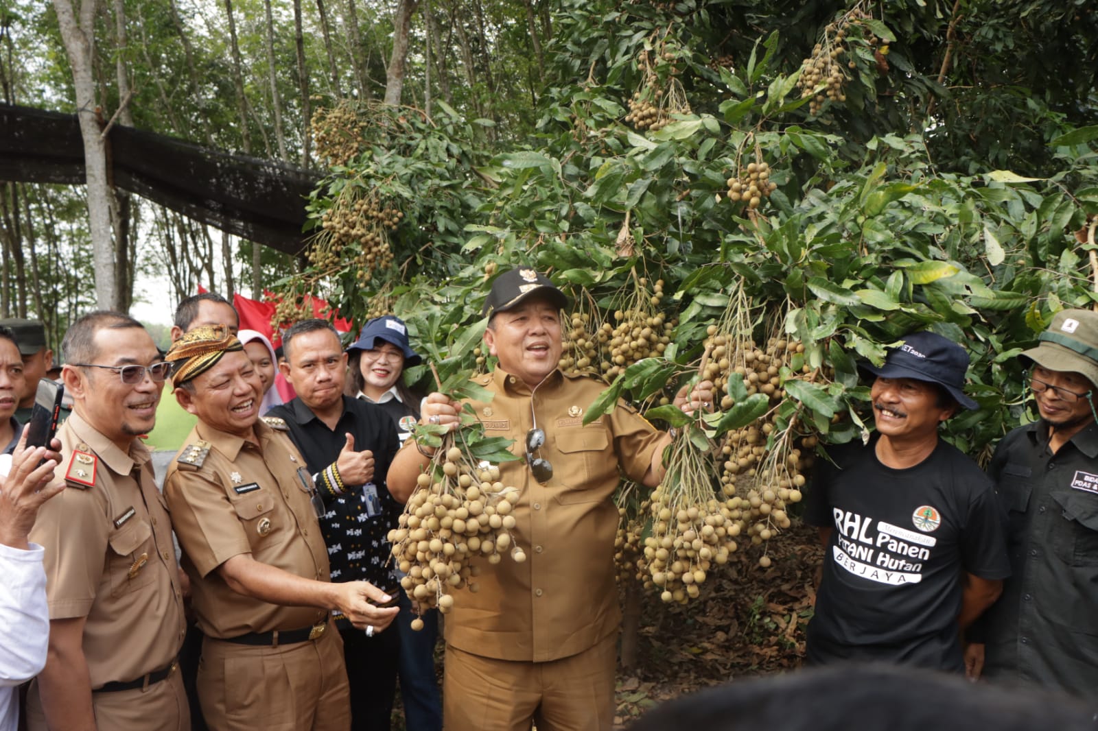 Gubernur Arinal Djunaidi Dorong Kabupaten Lampung Timur Sebagai Sentra Pengembangan Tanaman Kelengkeng