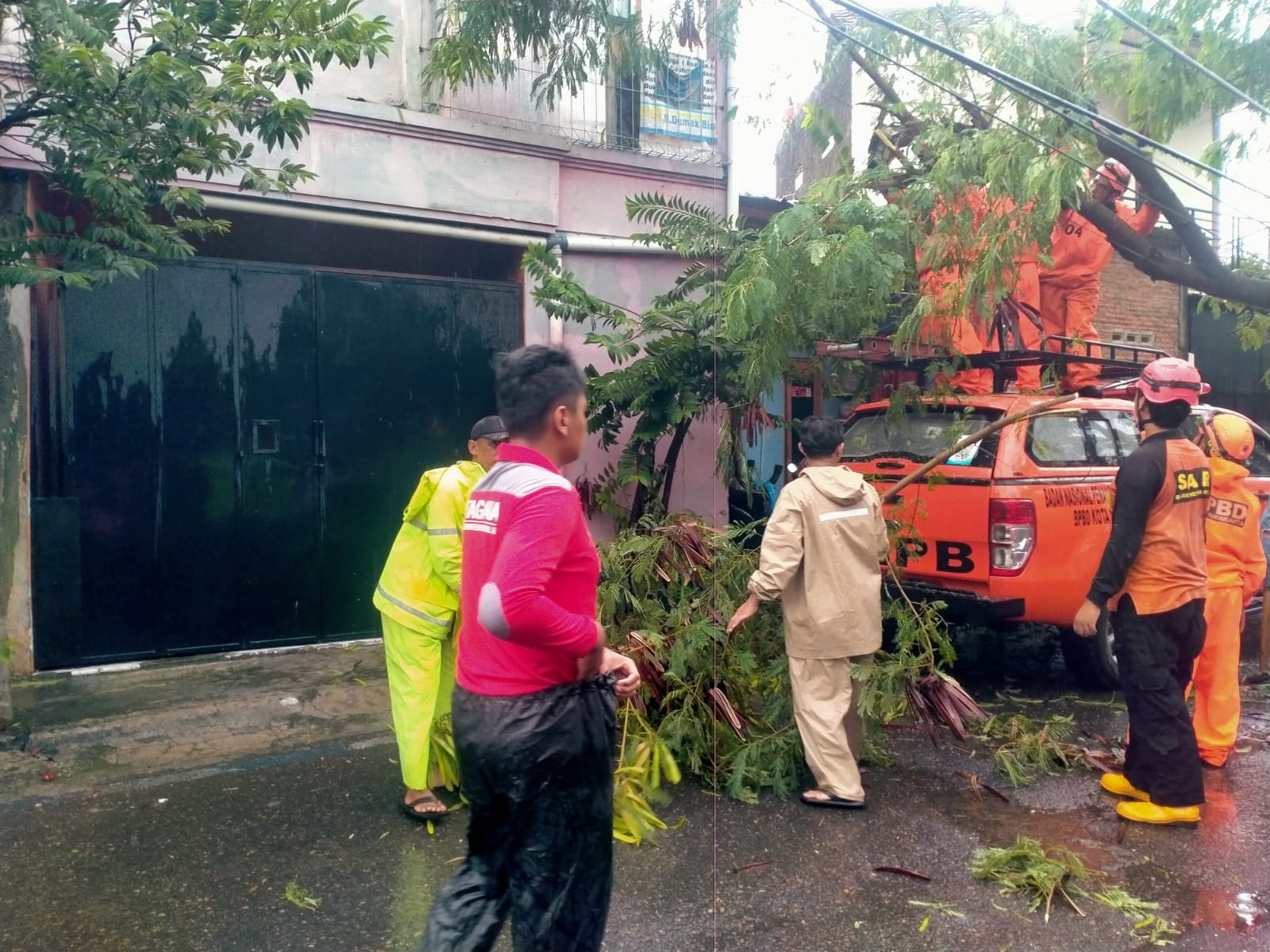 Gercep..!! Babinsa Kelurahan Nusukan Bantu Evakuasi Pohon Tumbang di Wilayah Binaan